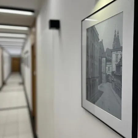 Halo Check In 24h Privat Parking *