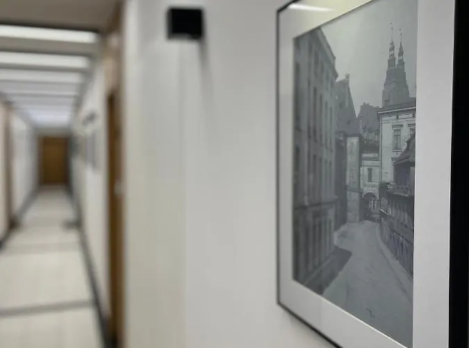 Halo Check In 24h Privat Parking *