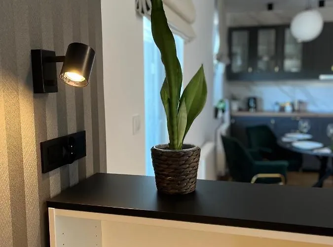 Lägenhet Halo Check In 24h Privat Parking Wrocław